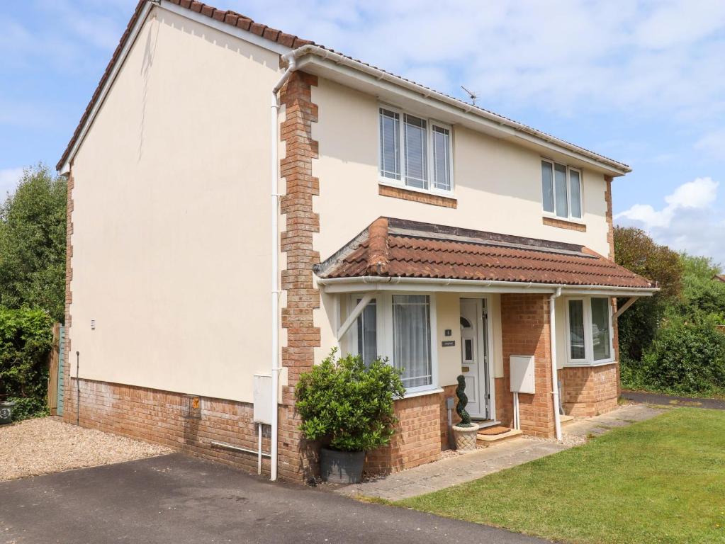 Hedgehogs, Barnstaple