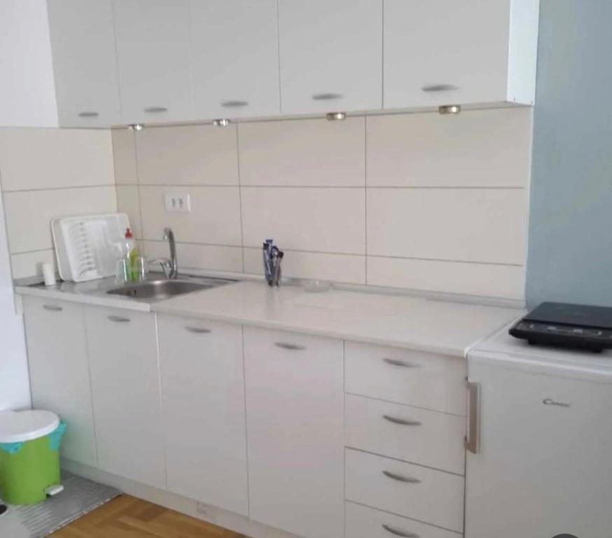 Leon Apartman, Vrnjačka Banja