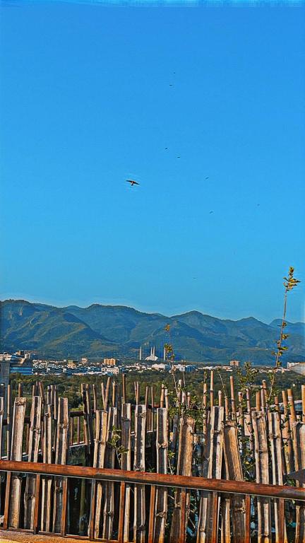 Penthouse in F-10 Islamabad, Islámábád