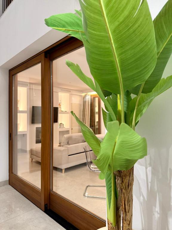Casa Del Estrecho - Luxury House - 2