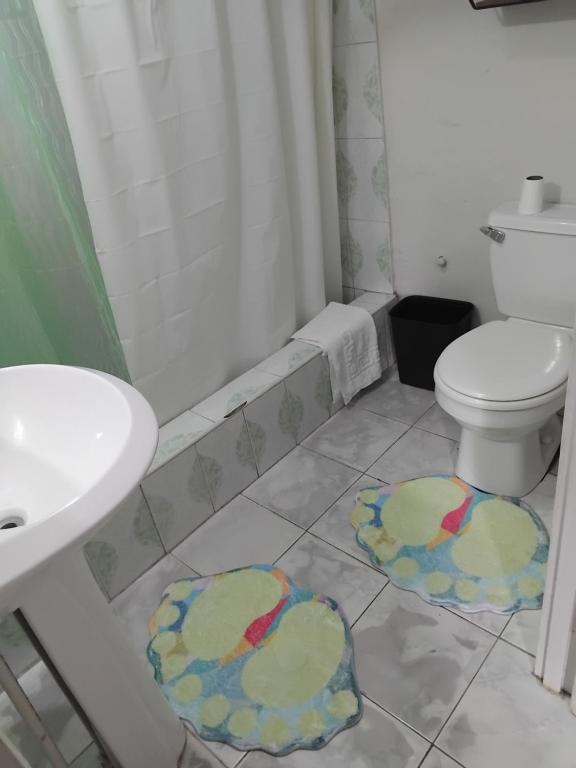 The Studio apartment at Csompó Silver Manor, Kupuis