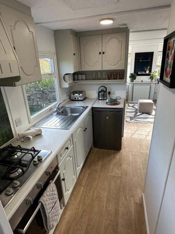 Dog-Friendly Static Caravan near Perranporth photo 8