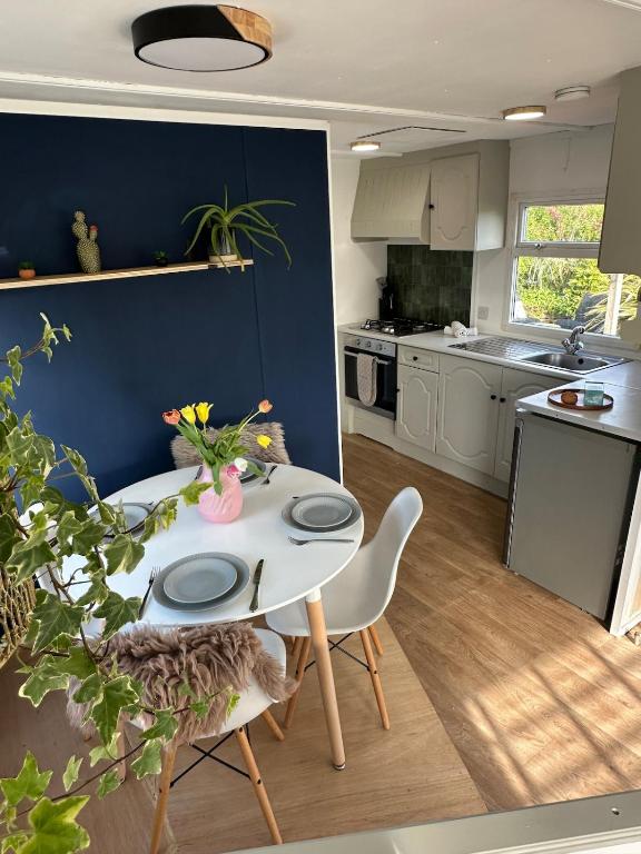Dog-Friendly Static Caravan near Perranporth photo 6