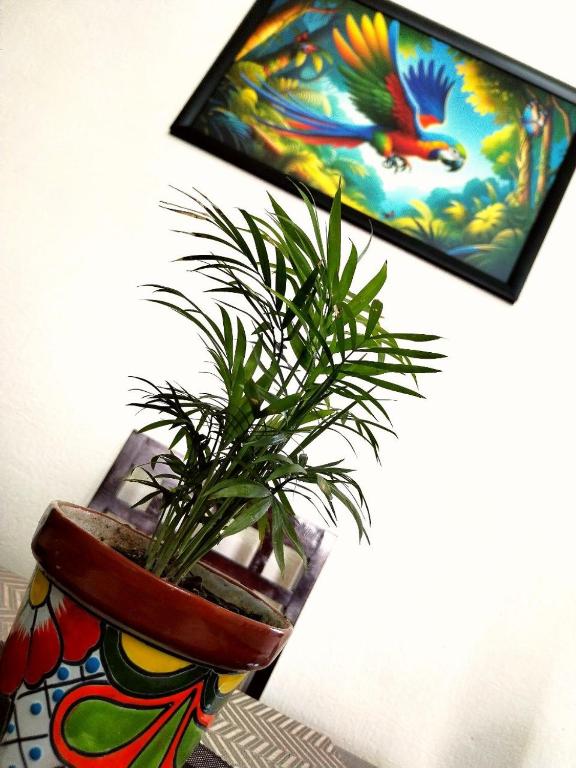 Casa encanto - 4
