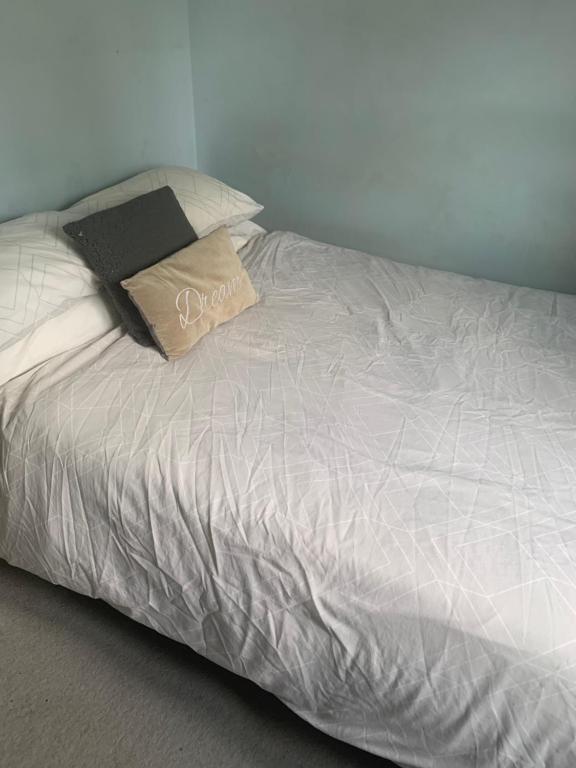 FEMALES ONLY OR Couples for DOUBLE ROOM - near Stonehenge, Oare