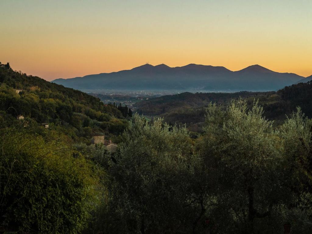 Villa in Tuscany with Infinity Pool and Views - 5