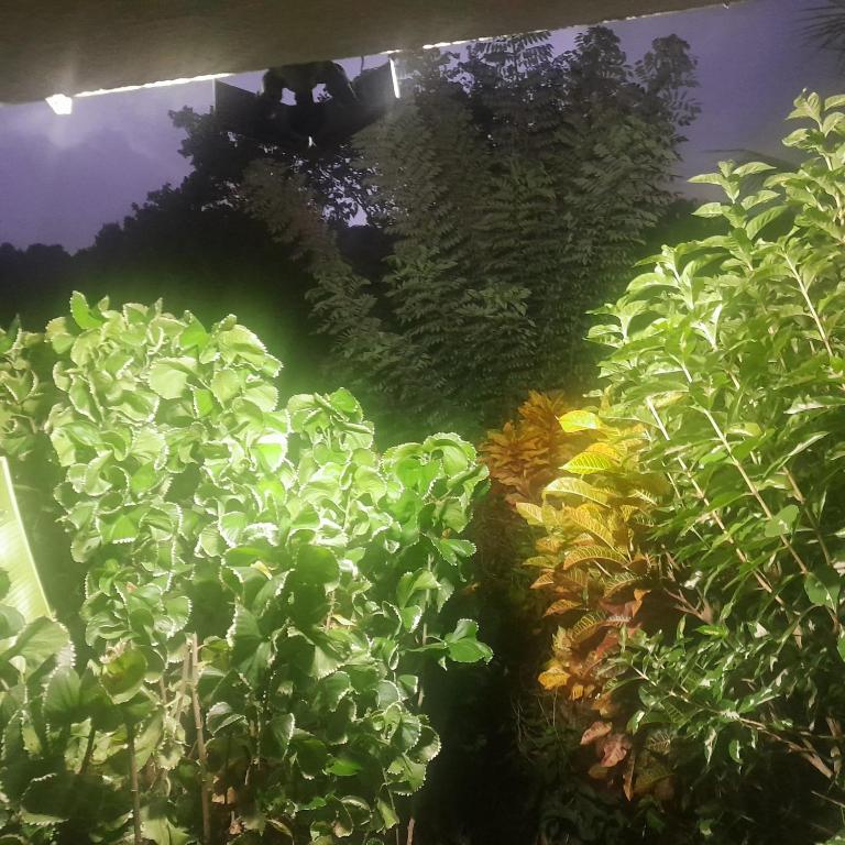 Surrounding environment