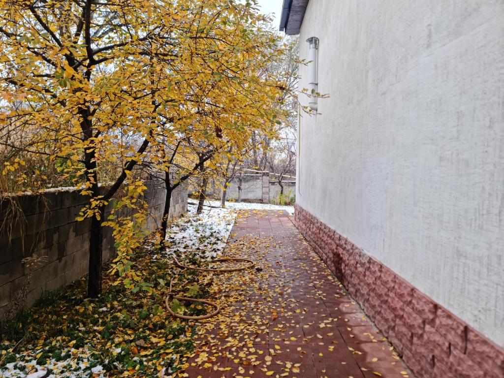 ADONI HOUSE Уютней чем в родном доме, Almaty