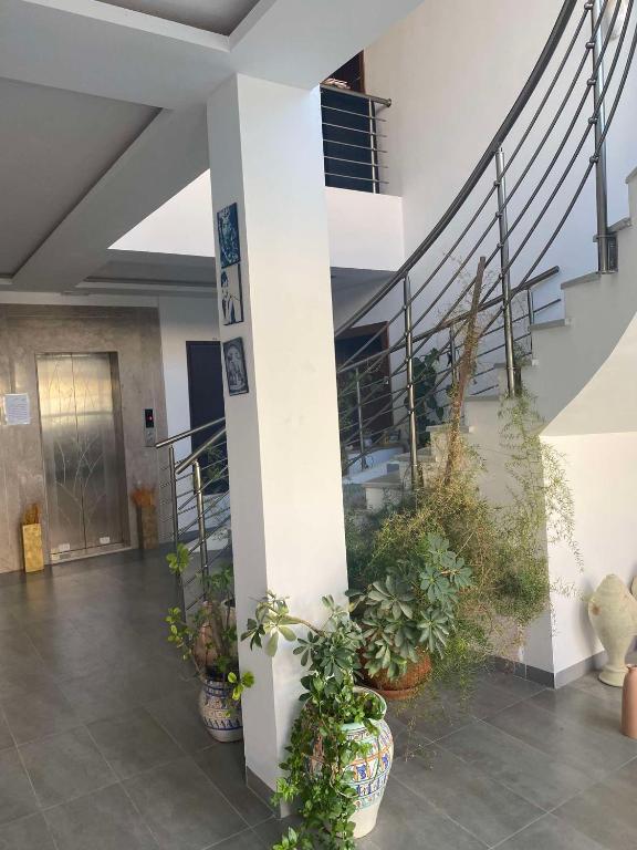 s0 a sidi mahrssi nabeul, Nabeul