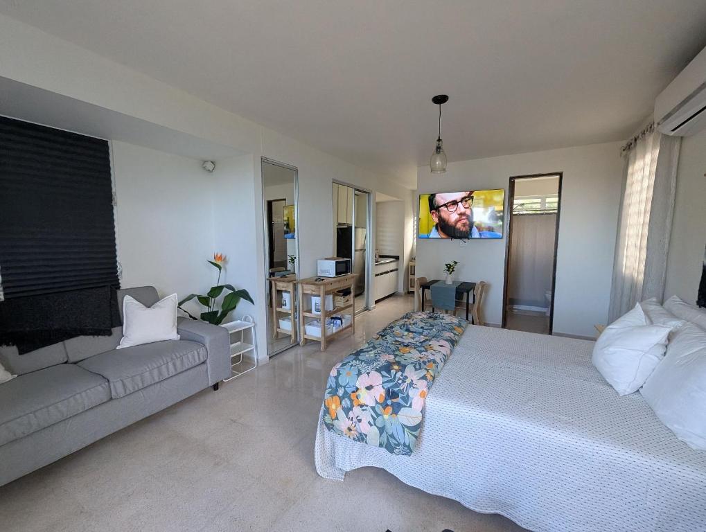 Explorers Fortuna Studio, Luquillo