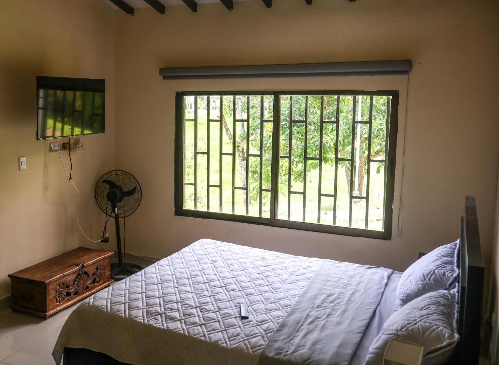 Quimbaya Campestre Hotel - 4