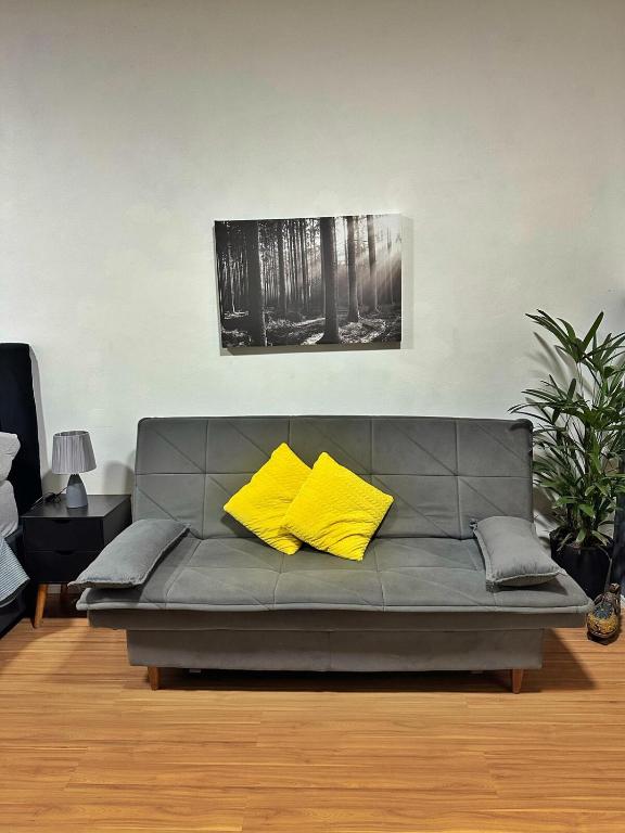 Hius 529, completely renovated, Rio de Janeiro