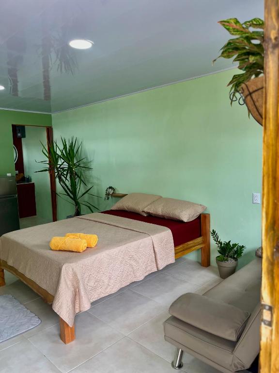 Pura Vida Estudio, Puerto Jiménez