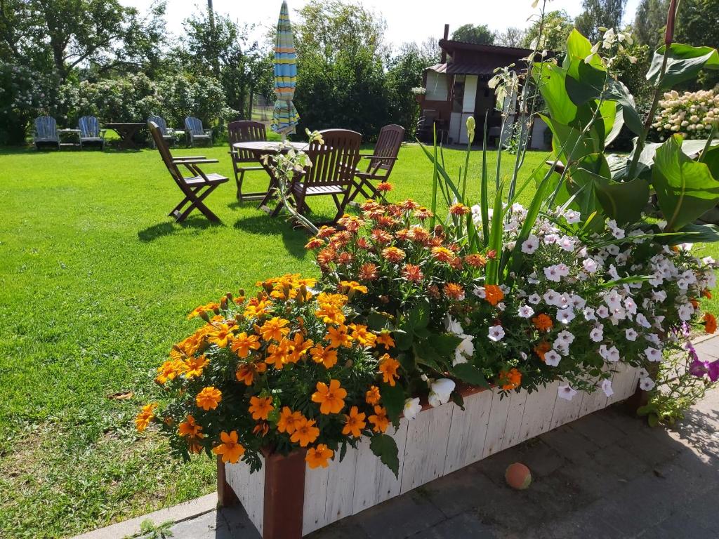 AlongtheWay E77, Ieriķi