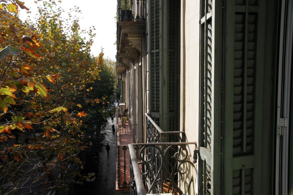 Luxury Central Apartment photo