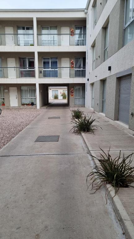 Depto bahia blanca - 2