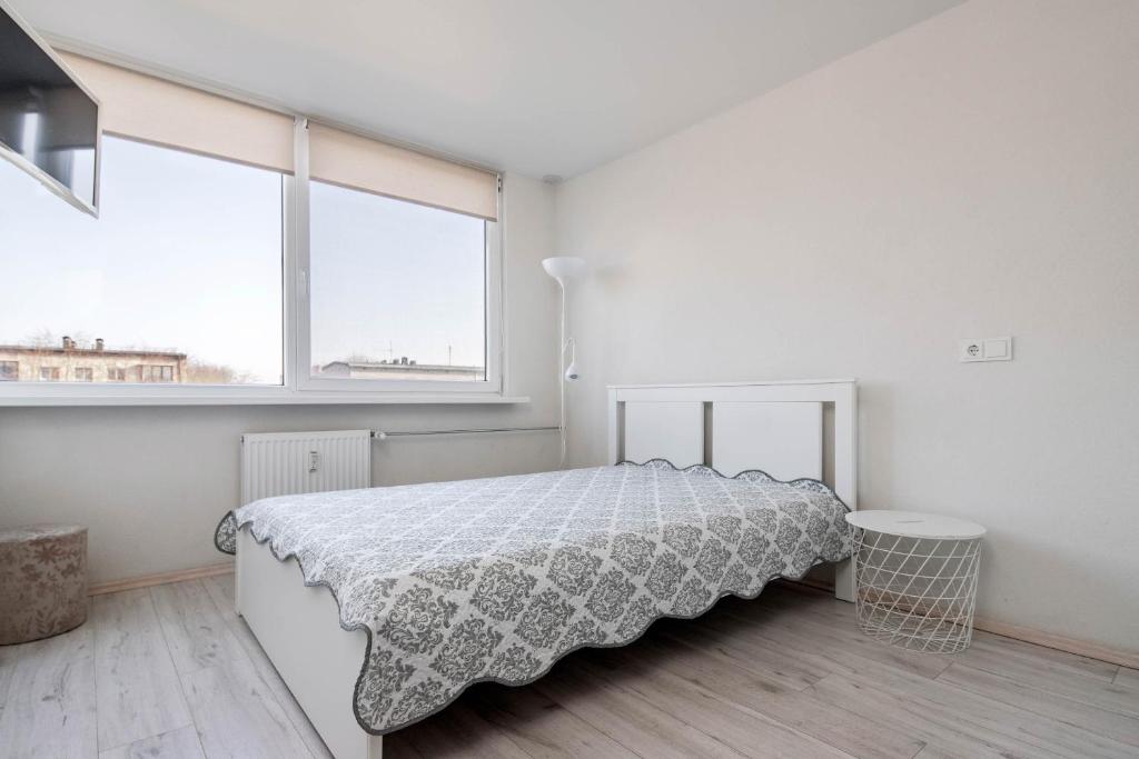 White Studio Taikos, Klaipėda