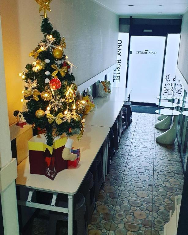 Dreaming Hostel Sinchon Hongdae