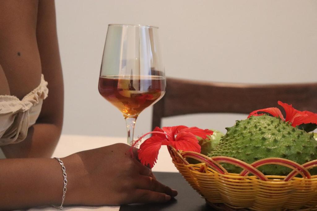 Sren Self catering Apartment, Anse Royale