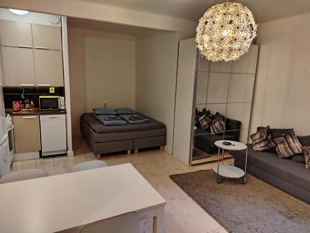 Upea yksiö aivan Helsingin keskustasta, Helsinki