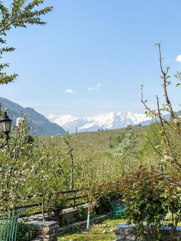 Surrounding environment