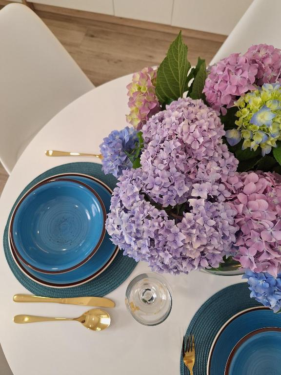 apartman stan Savina - 5