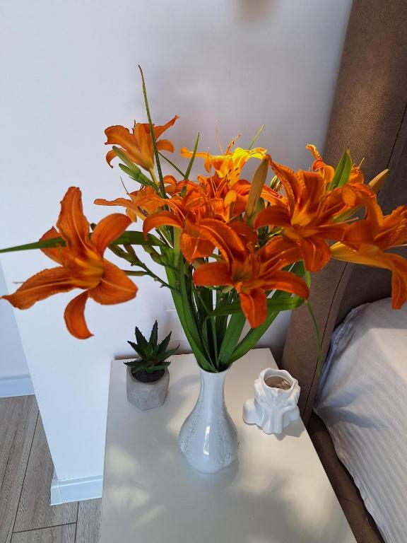 apartman stan Savina - 2