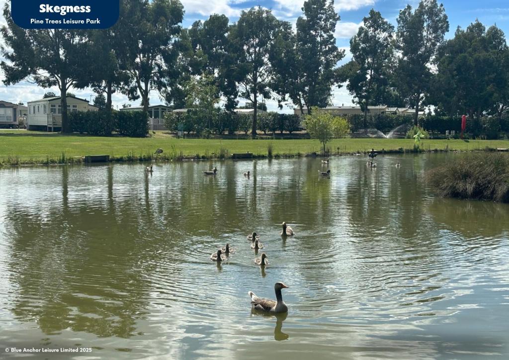 Pine Trees Leisure Park, Skegness
