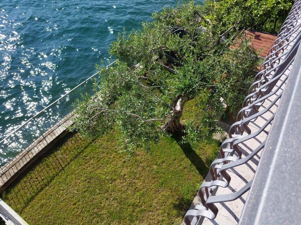 Peaceful Lakefront, Marone