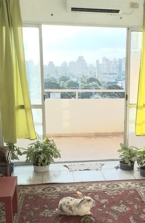 Departamentos Céntricos Panorámicos - 3