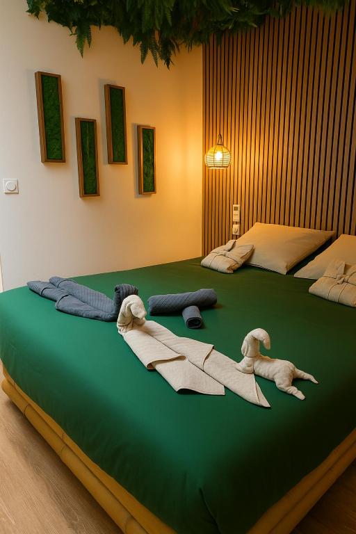 Jungle Room - Sauna, Jacuzzi, Cinéma - Hyper Centre - 4