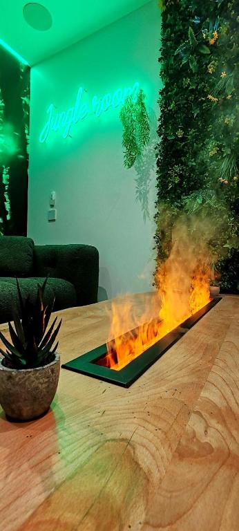 Jungle Room - Sauna, Jacuzzi, Cinéma - Hyper Centre - 5