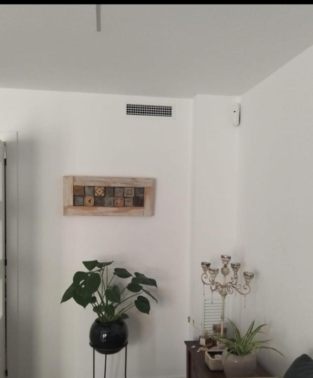 Vidanova 1, Vilanova i la Geltrú