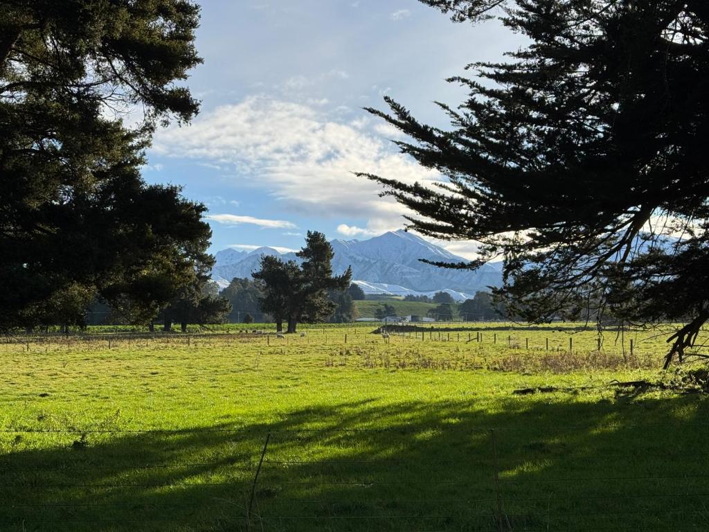 Bellbird Hideaway, Pleasant Valley