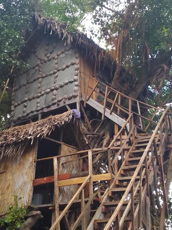 Tree Home Adventure, Isaka