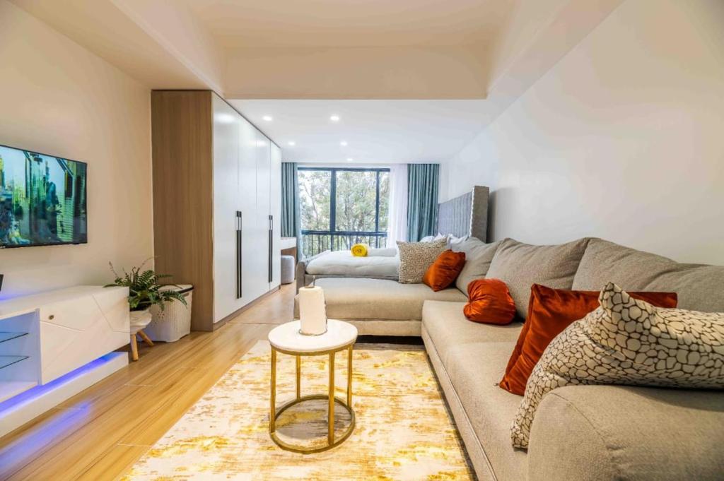 classy studio apartment in kilimani with fully equipped gym and balcony which breathtaking city views, Nairobi