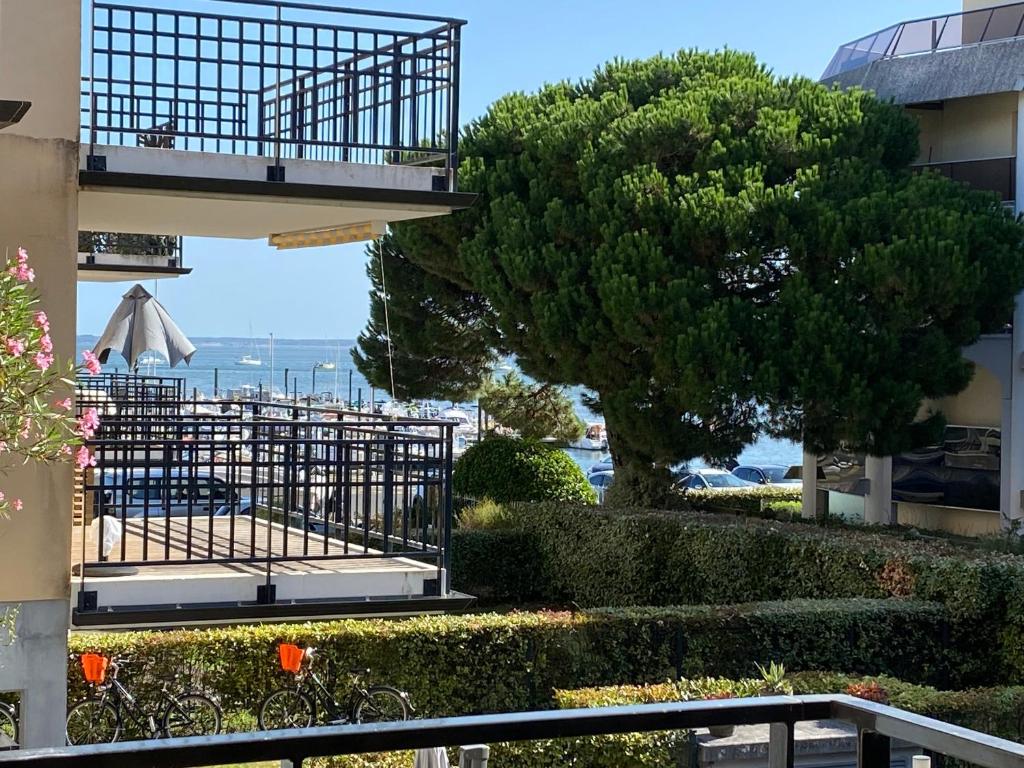 Charmant T3 à Arcachon avec terrasse et parking sécurisé - FR-1-374-233 - 4