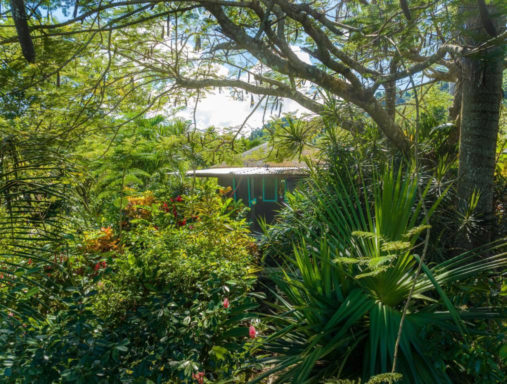 Surrounding environment