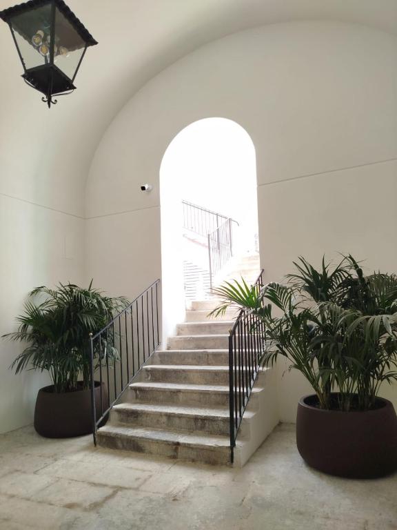 Palazzo Botta Suites - 2