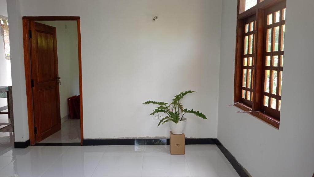 Ovinro Rest, Anuradhápura