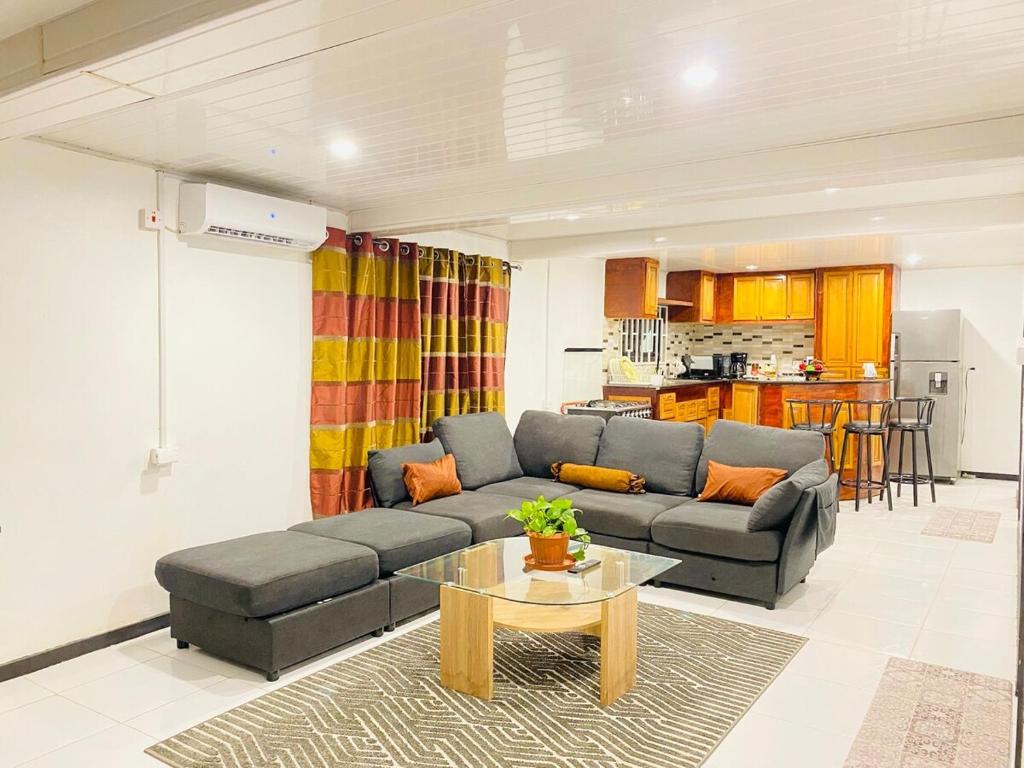 New Modern Apartment, Georgetown