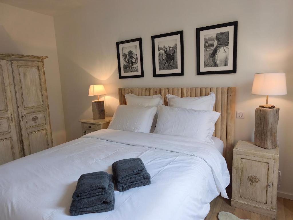 VILLA ADOYA Chambre d'hôtes Aigues-Mortes intra muros au calme climatisation réversible PISCINE WIFI ascenseur PARKING gratuit - 4
