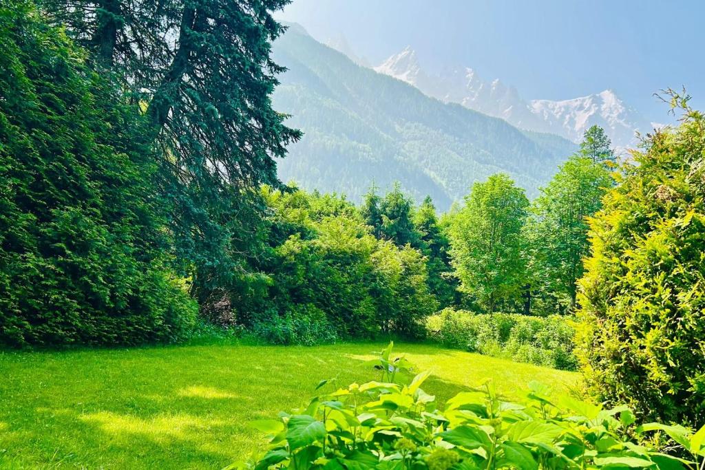 Experience Mont Blanc with your family - 1