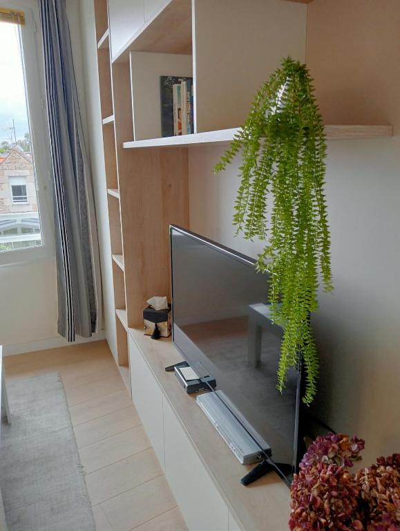 TRES BEL APPARTEMENT Ploumanac'h Centre - 5