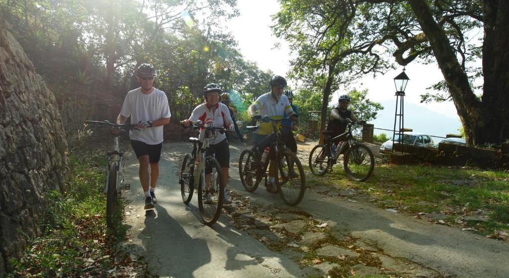 スポーツ/アクティビティ