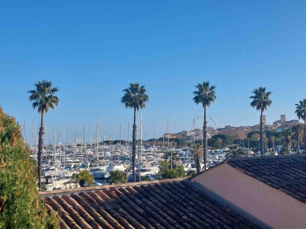 Studio with port view terrace with AC - 3