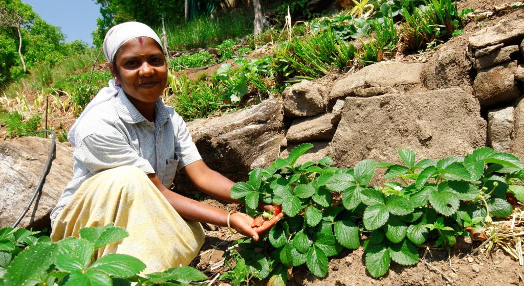 アクティビティ