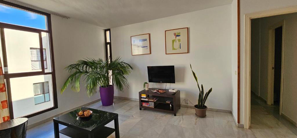 Piso Tamaragua - 3