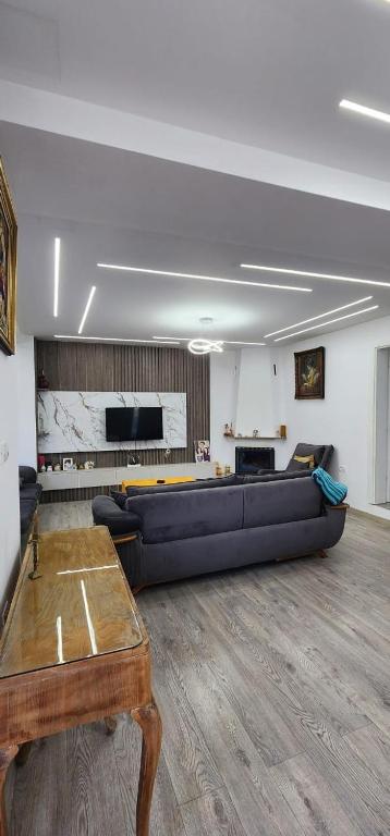 A Story Worth Staying In, Skadar