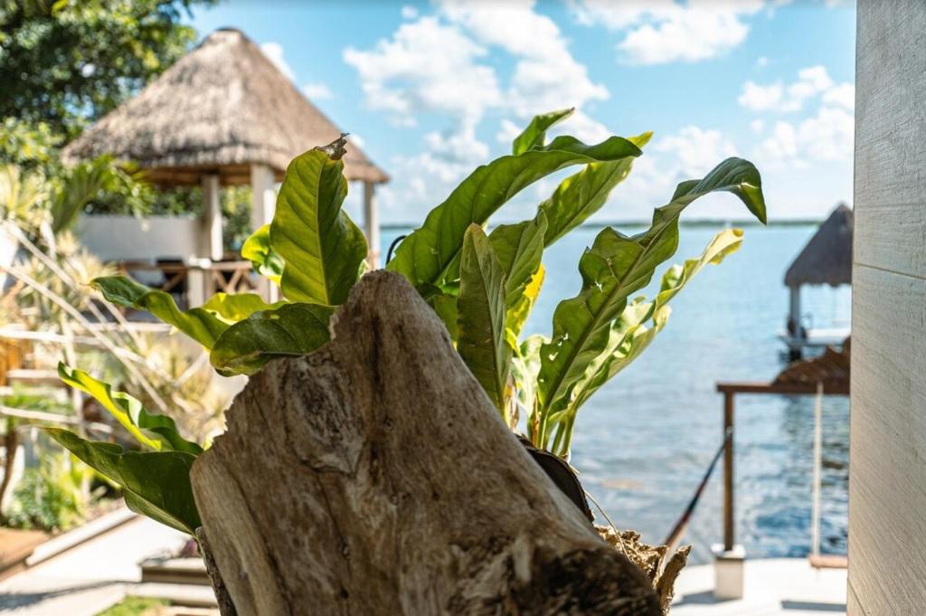 Casa Frente a la Laguna de Bacalar - 2
